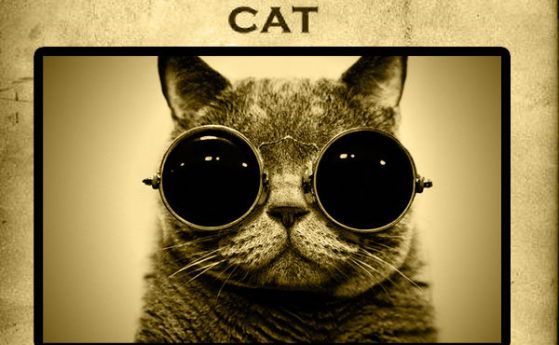 Котката на Шрьодингер. Различни интерпретации на квантовата неопределеност