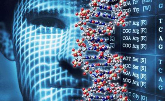 Рестартът на ДНК е наблюдаван за първи път в човешки зародишни клетки