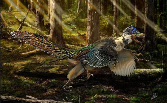 Най-големият пернат и крилат динозавър е открит в Китай