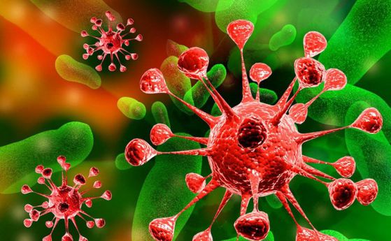 Вирусите се оказаха живи същества, според ново проучване