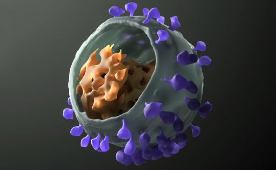 Биспецифични антитела могат да се преборят с латентния ХИВ вирус