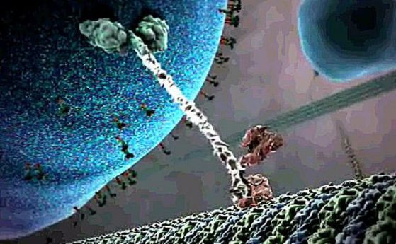 Наноробот от ДНК ходи, местейки крак след крак (видео)