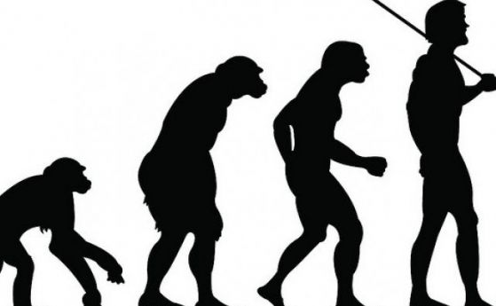 Топ 5 на погрешните схващания за еволюцията: Наръчник за демистификацията на основите на съвременната биология