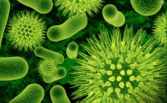 Броят на бактериите в човешкото тяло са почти колкото собствените му клетки