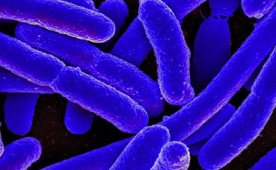 Наночастици, активирани от светлина убиват над 90% от резистентните на антибиотици бактерии