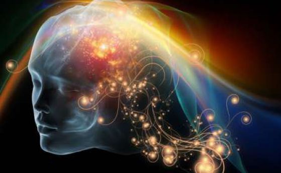 Човешкото съзнание може да е резултат от хаоса в мозъка