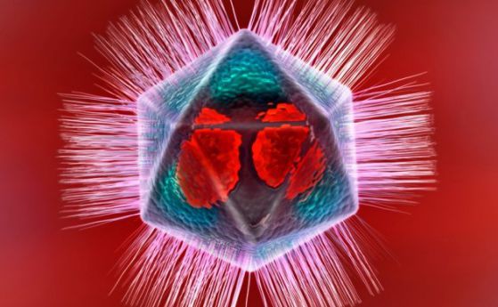 Ново надцарство в биологията - това на гигантските мимивируси