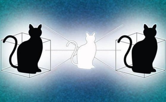 Експеримент: Две квантово вплетени котки на Шрьодингер