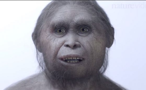 Учени откриха предшественици на „хобитите“ на 700 000 години