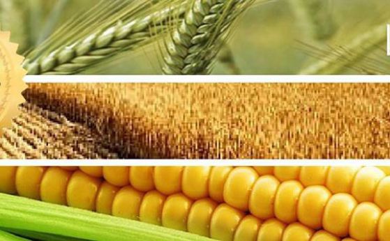 Дискусия: Митове и реалности около ГМО