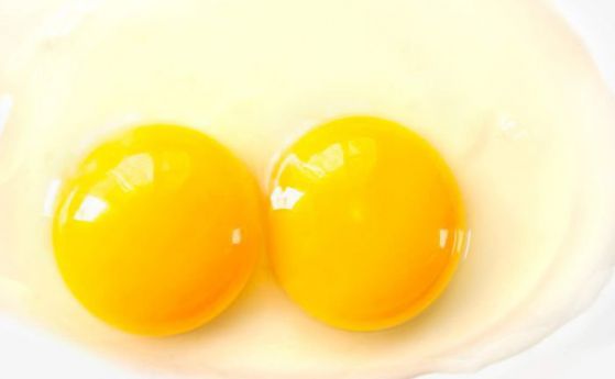 Какъв е шансът да ви се падне яйце с два жълтъка?