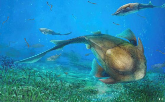 Древна риба разкри тайната на еволюцията на челюстите