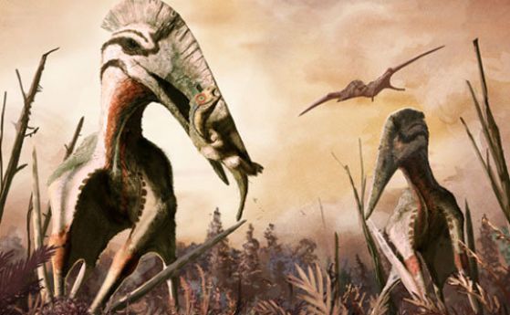 Крилатият кошмар на Трансилвания: Летящи динозаври, които могат да ловуват плячка колкото кон