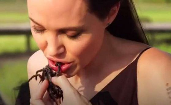 Трябва ли да ядем насекоми като Анджелина Джоли