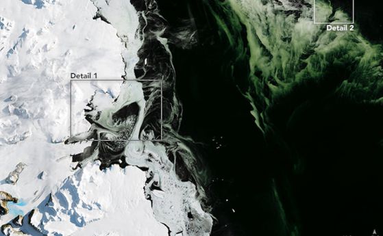 Странен зелен лед плува из Антарктика (видео)
