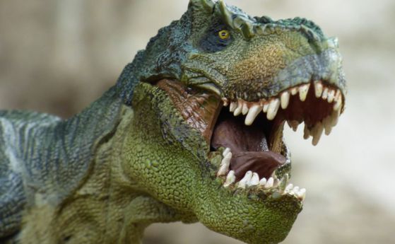 Гигантският Тиранозавър Рекс е смачквал жертвите си със сила 3.5 тона