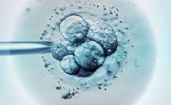 Китай стартира клинични опити със стволови клетки от ембриони