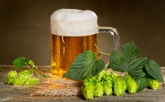 Български учени създадоха безглутенова бира