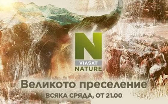 "Великото преселение" с премиера по Viasat Nature на Световния ден на животните, 4 октомври (видео)