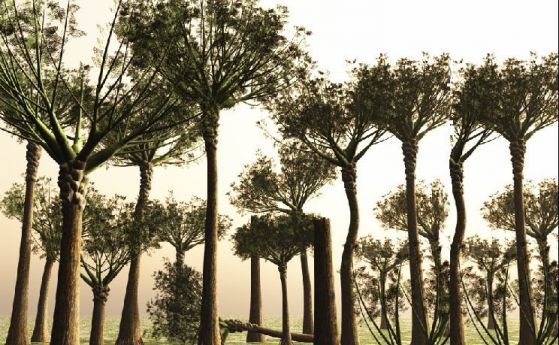 Фосили от най-старите дървета в света разкриват сложна анатомия, невиждана преди