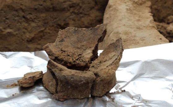 Намериха следи от най-старото вино в света на поне 8000 години