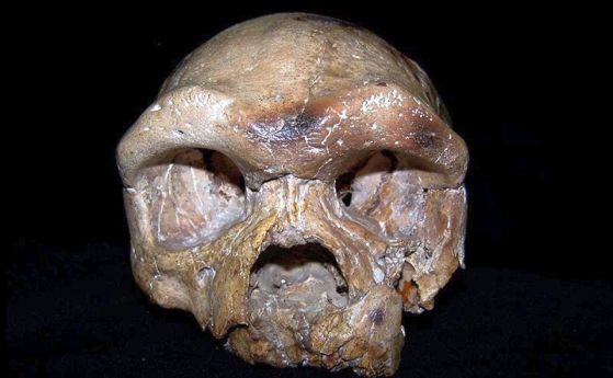 Древен череп, намерен в Китай, разклаща текущите еволюционни теории