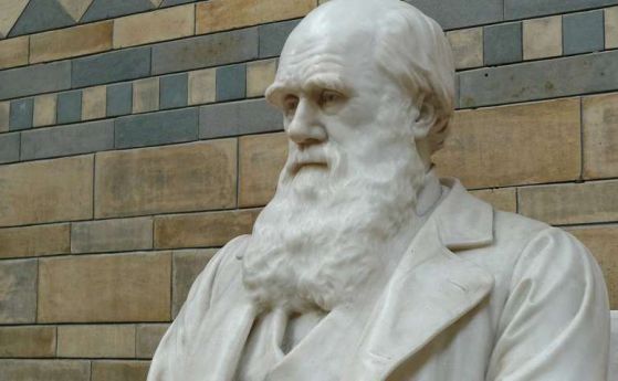 Учени подложиха на съмнение екологичната хипотеза на Дарвин 