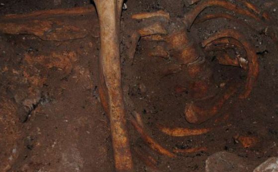 Най-старата африканска ДНК разказа за съществуването на неизвестен народ