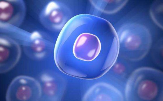 Учените създадоха нови хибриди от изкуствени и живи клетки