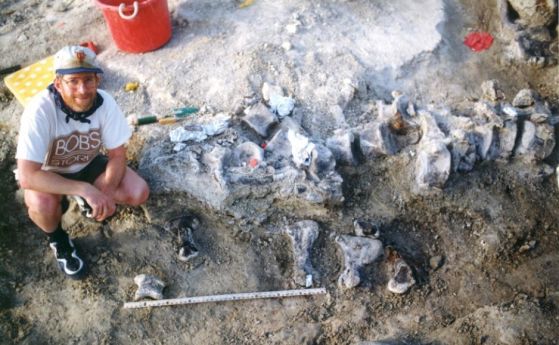 Снимка от разкопките от 1998 г., с кости на крака на брахиозавър под опашката на динозавъра Camarasaurus. 