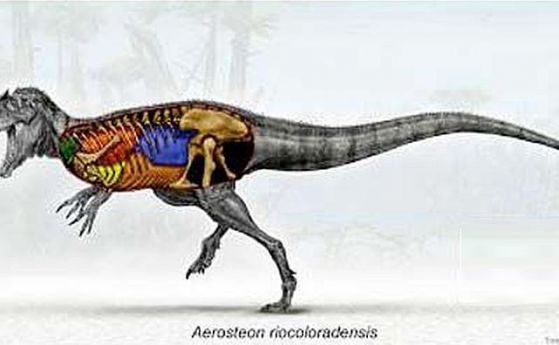 Динозаврите са дишали като птици и това им е помагало да се движат по-бързо