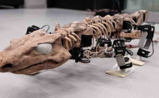 Робот пресъздава походката на същество на 290 млн години (видео)