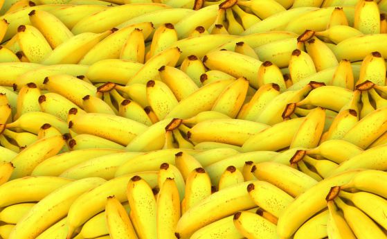 Вирусът, скрит в генома на бананите, е унищожен с технологията CRISPR