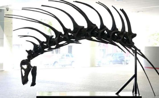 Динозавър с гигантски бодли е намерен в Патагония