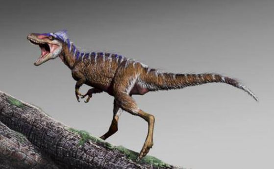 Тиранозавър Рекс е имал малък като елен предшественик