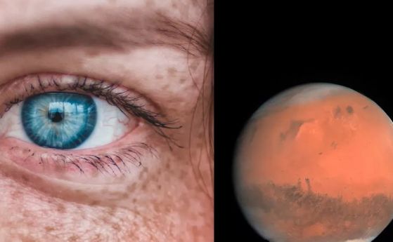 Само 2-3 поколения и хората на Марс ще се превърнат в "марсианци", смята еволюционен биолог