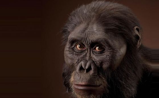 Най-древните фосили на австралопитек са открити в Африка