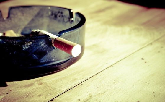 Генно-редактиран тютюн съдържа минимално количество никотин