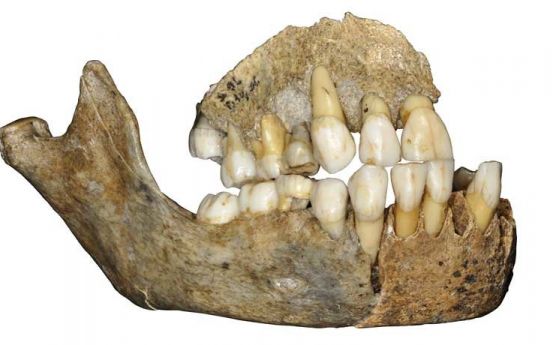 ДНК от неандерталци показва генетичната им линия, продължила 80 000 години