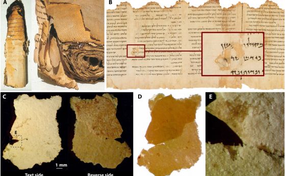 Един от свитъците от Мъртво море може да има различен произход