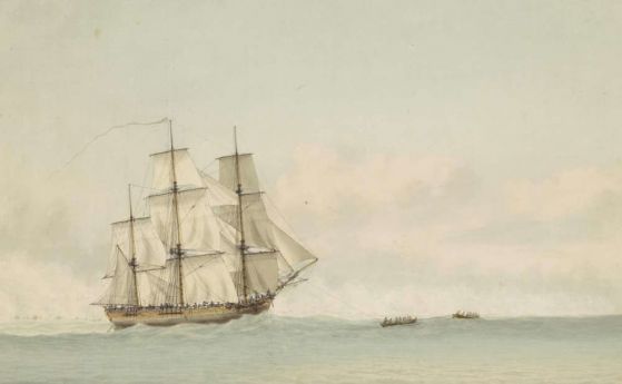 Останки от потънал кораб може да са от Индевър на капитан Джеймс Кук
