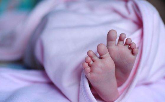 Техниката за създаване на "дизайнерски" бебета не работи, твърди ново проучване