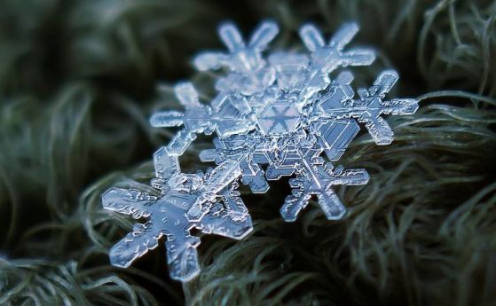 Коледни снежинки: Макрофотографията разкрива уникалния им дизайн