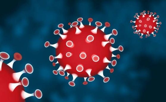 Съвети на експерти: Как да засилим имунната си система по време на епидемията