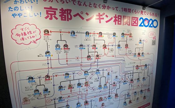 Заплетена диаграма показва сложния любовен живот на пингвините в Киото
