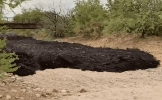Страховита река от черна тиня потече в Аризона