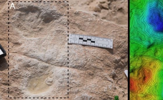Най-древните човешки следи от стъпки извън Африка, са открити в Саудитска Арабия