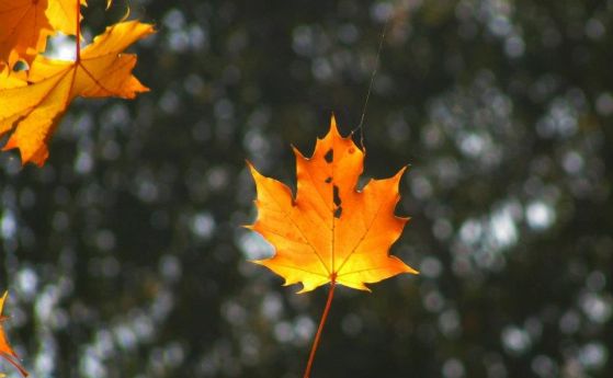 Какво трябва да знаем за първия ден на есента?