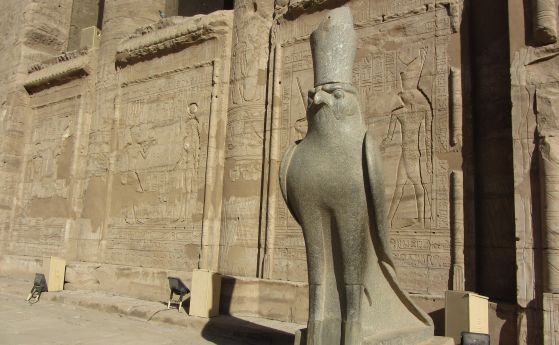 Разкрит е мистериозният произход на птиците, принасяни като дар на боговете в Древен Египет