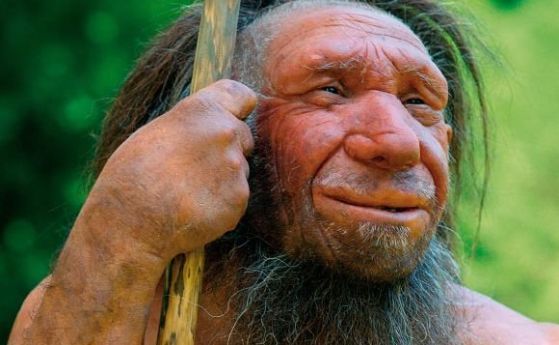 Човешката Y хромозома е изместила версията на неандерталците